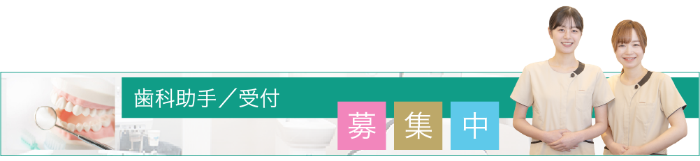 歯科助手/受付募集中
