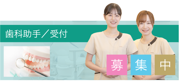 歯科助手/受付募集中
