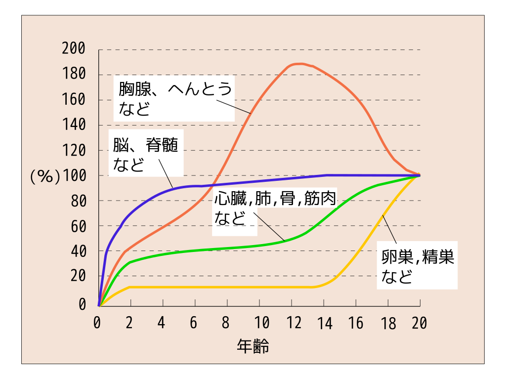 スキャモンのスキャモンの発育発達曲線