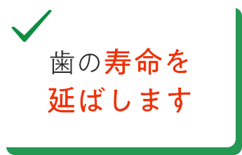 歯の寿命を延ばします